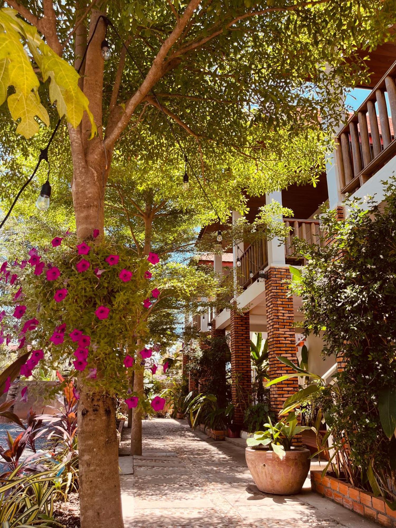 Coconut Lodge Kampot Εξωτερικό φωτογραφία