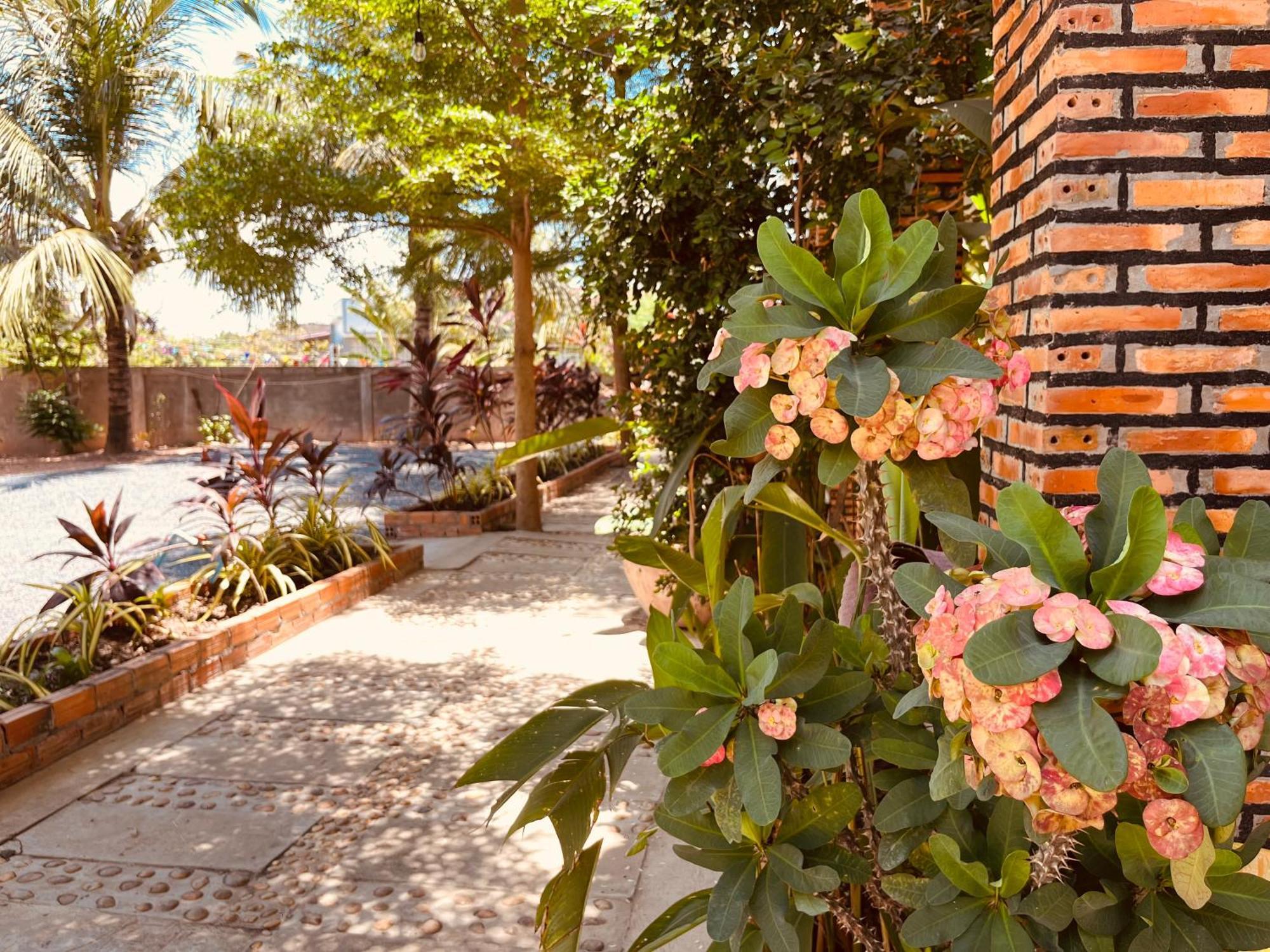 Coconut Lodge Kampot Εξωτερικό φωτογραφία