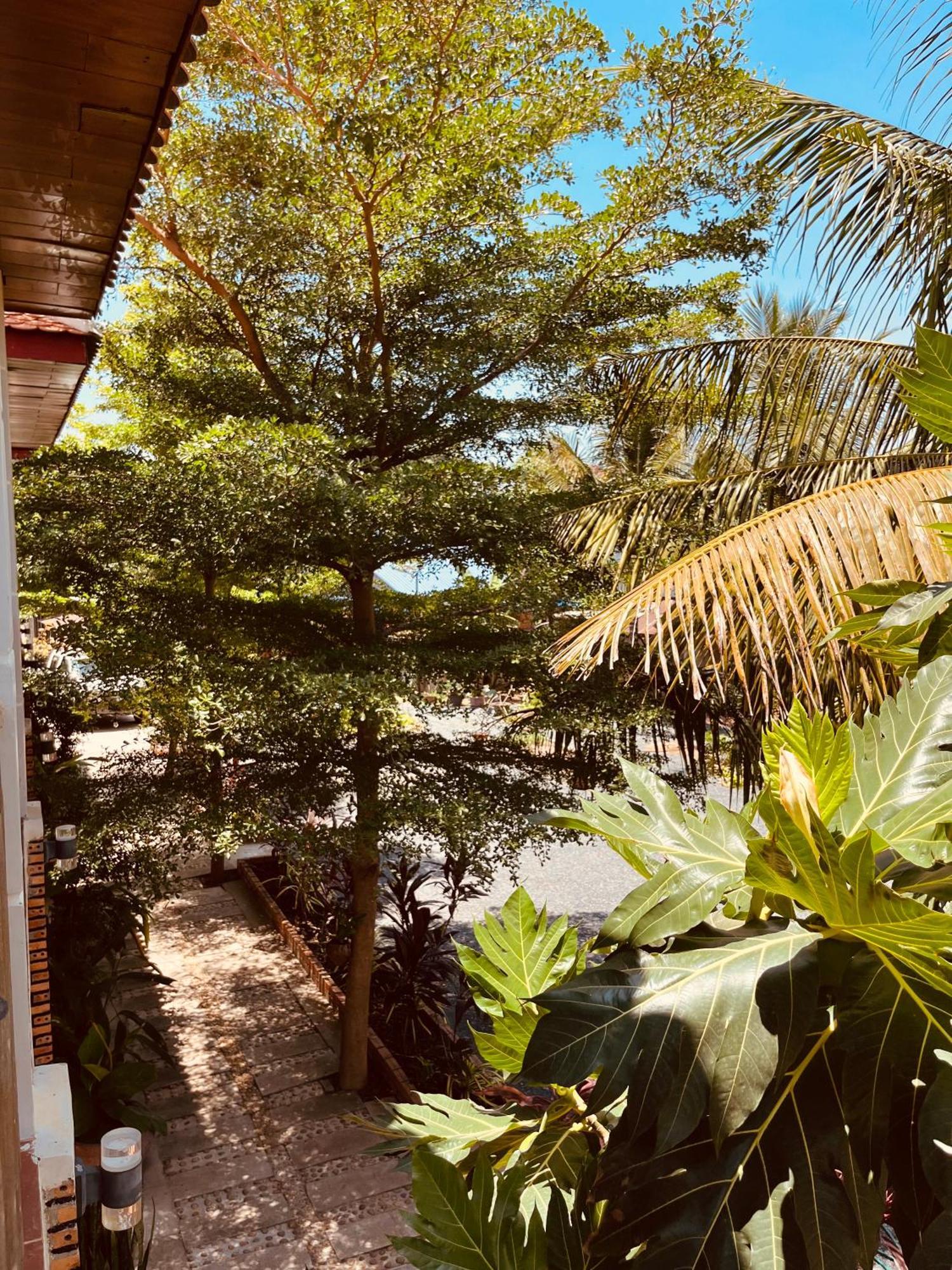 Coconut Lodge Kampot Εξωτερικό φωτογραφία