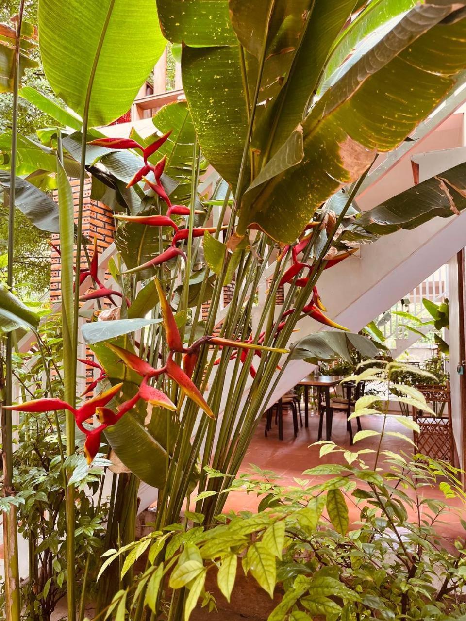 Coconut Lodge Kampot Εξωτερικό φωτογραφία