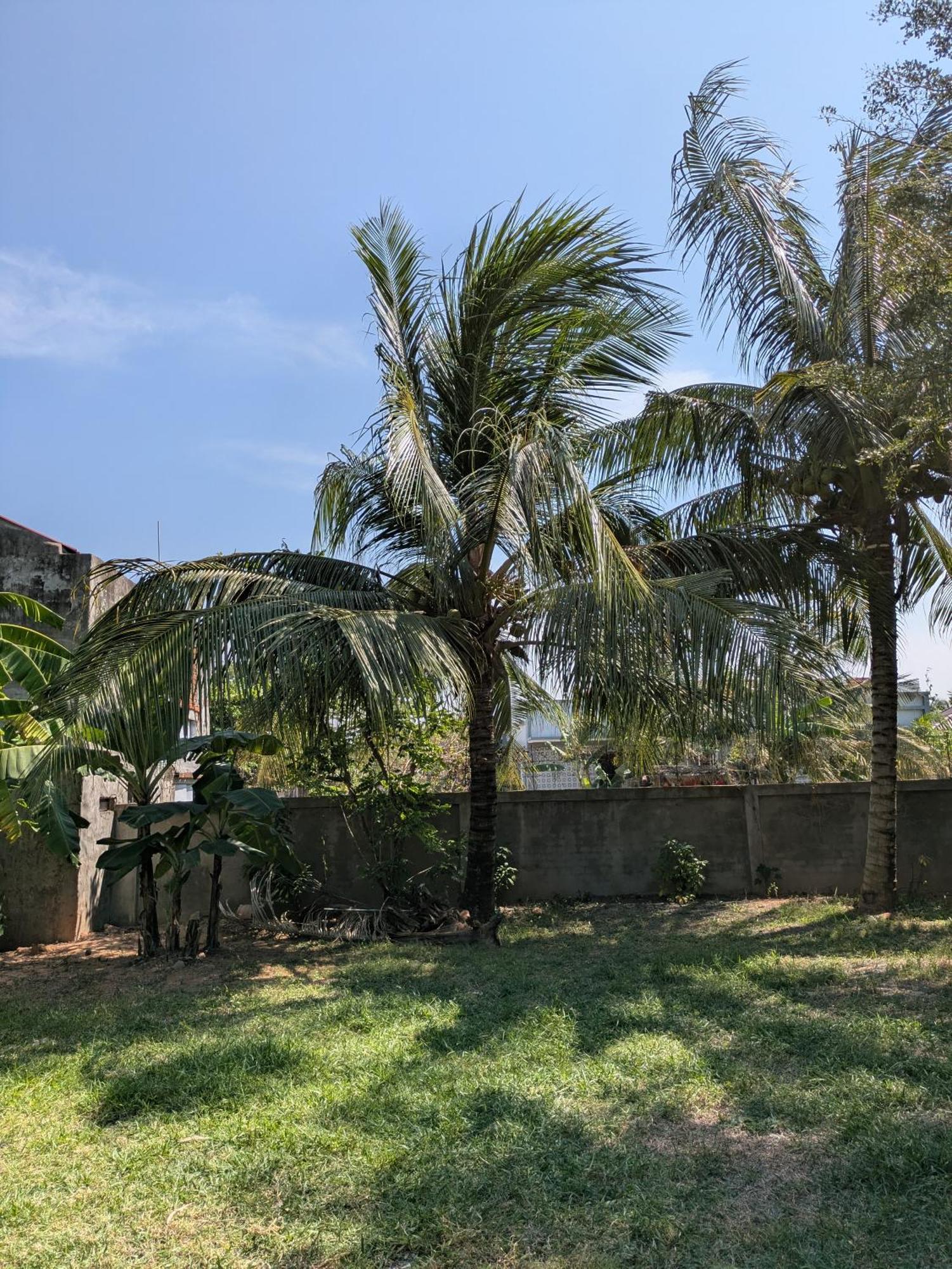 Coconut Lodge Kampot Εξωτερικό φωτογραφία