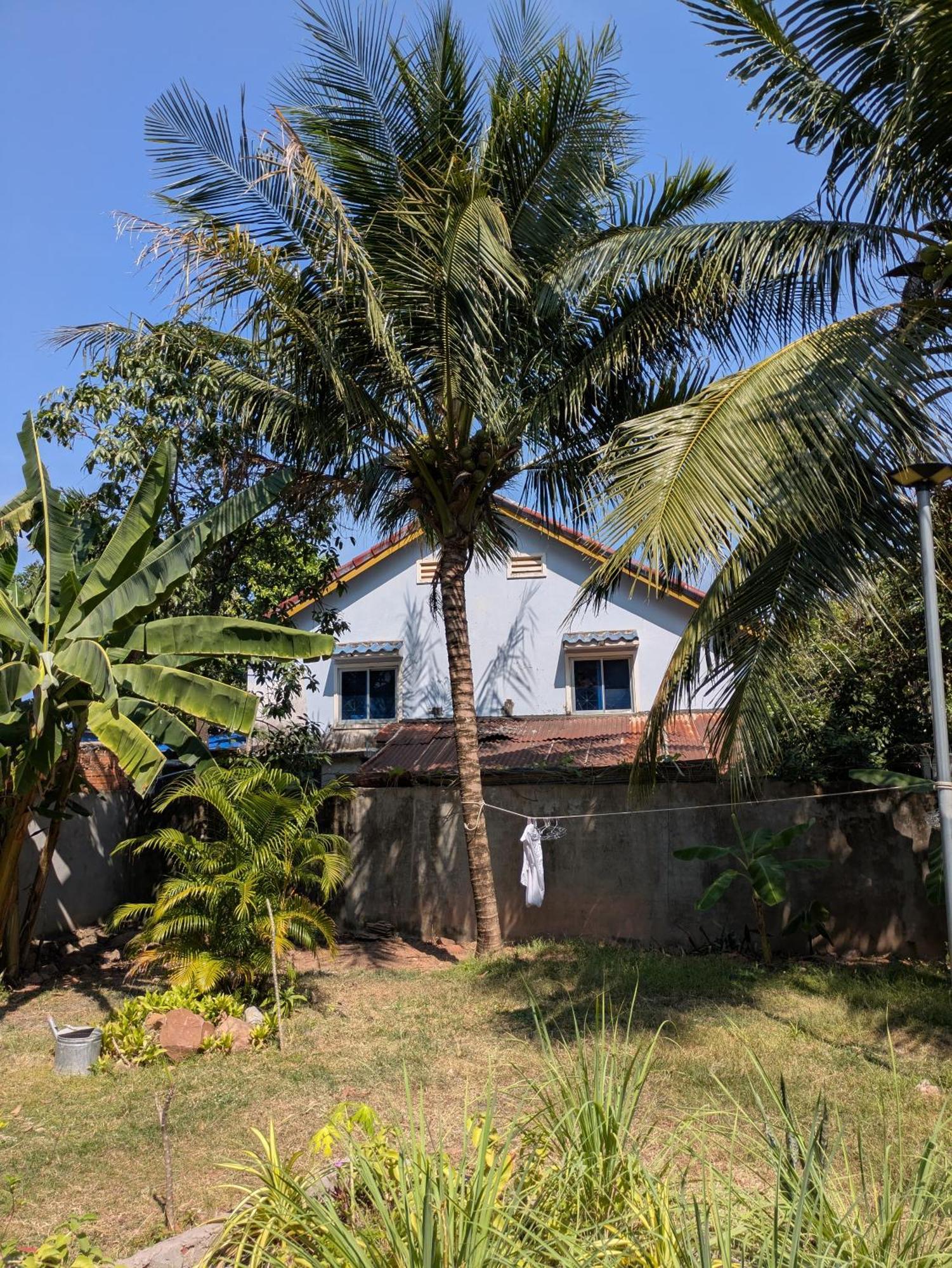 Coconut Lodge Kampot Εξωτερικό φωτογραφία
