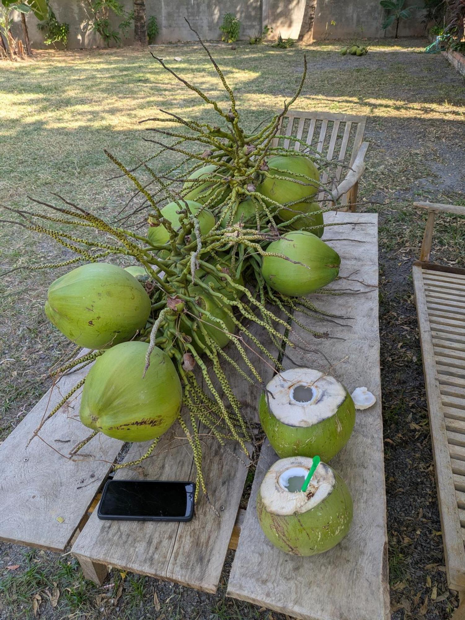 Coconut Lodge Kampot Εξωτερικό φωτογραφία