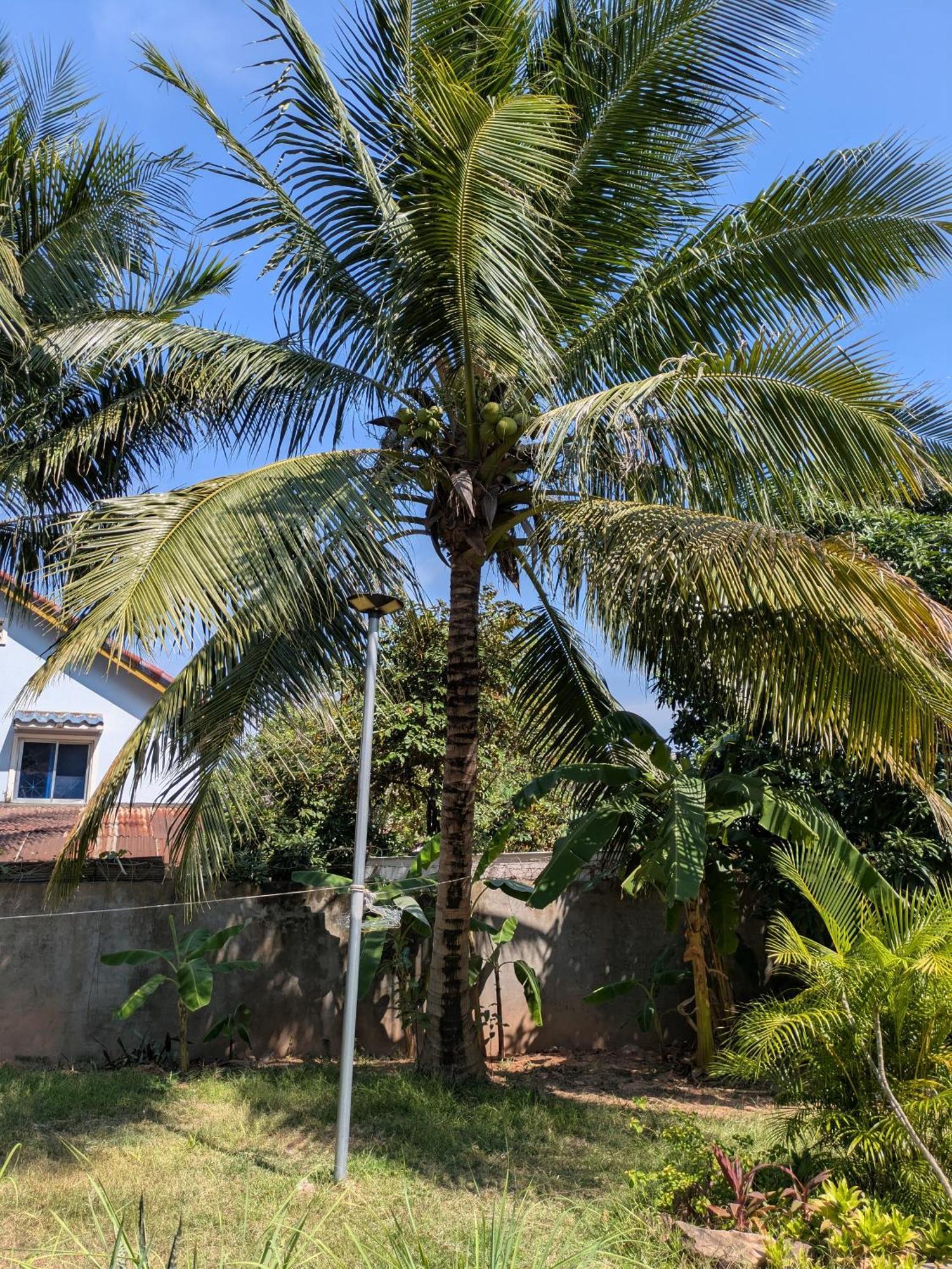 Coconut Lodge Kampot Εξωτερικό φωτογραφία