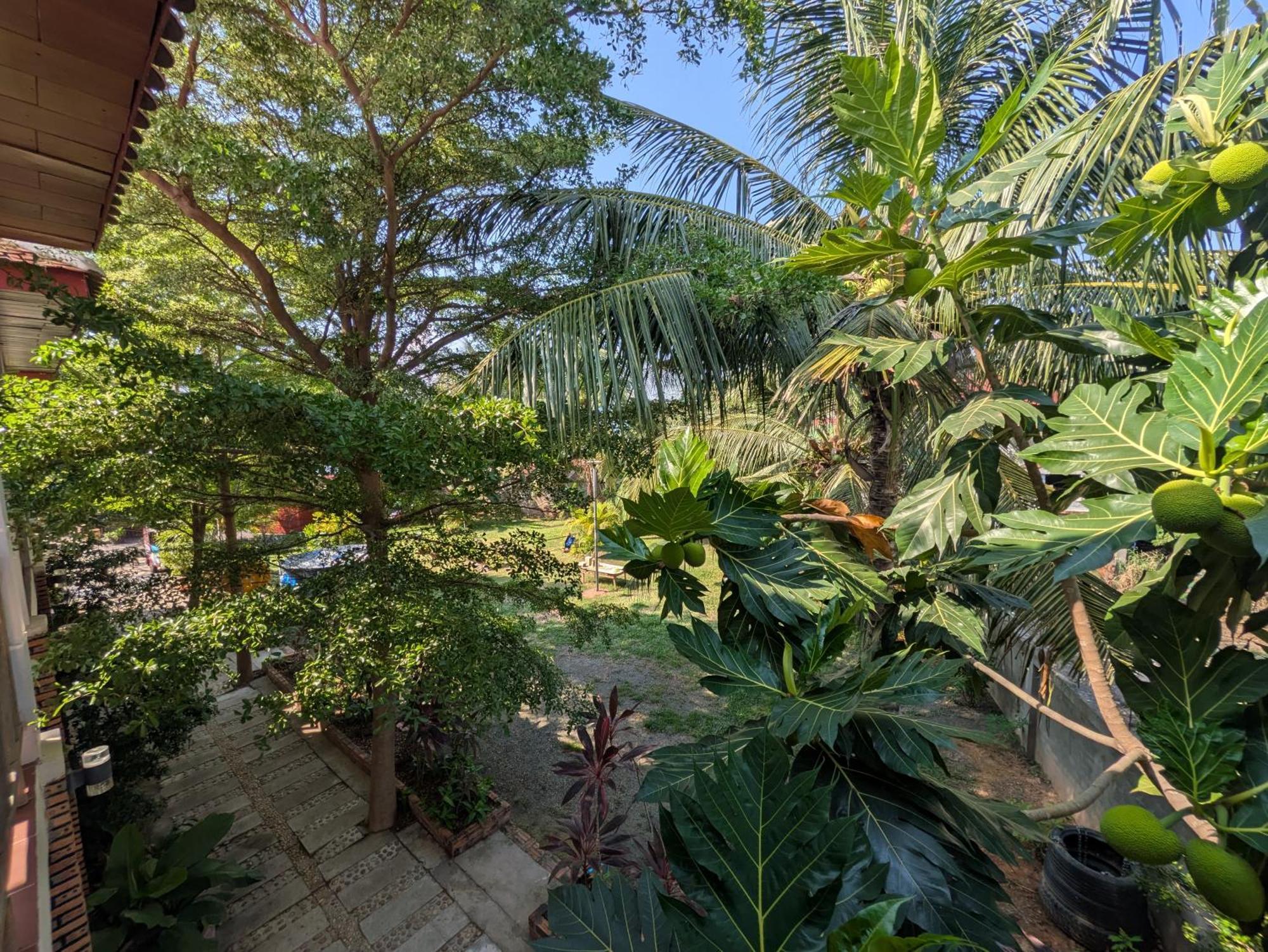 Coconut Lodge Kampot Εξωτερικό φωτογραφία