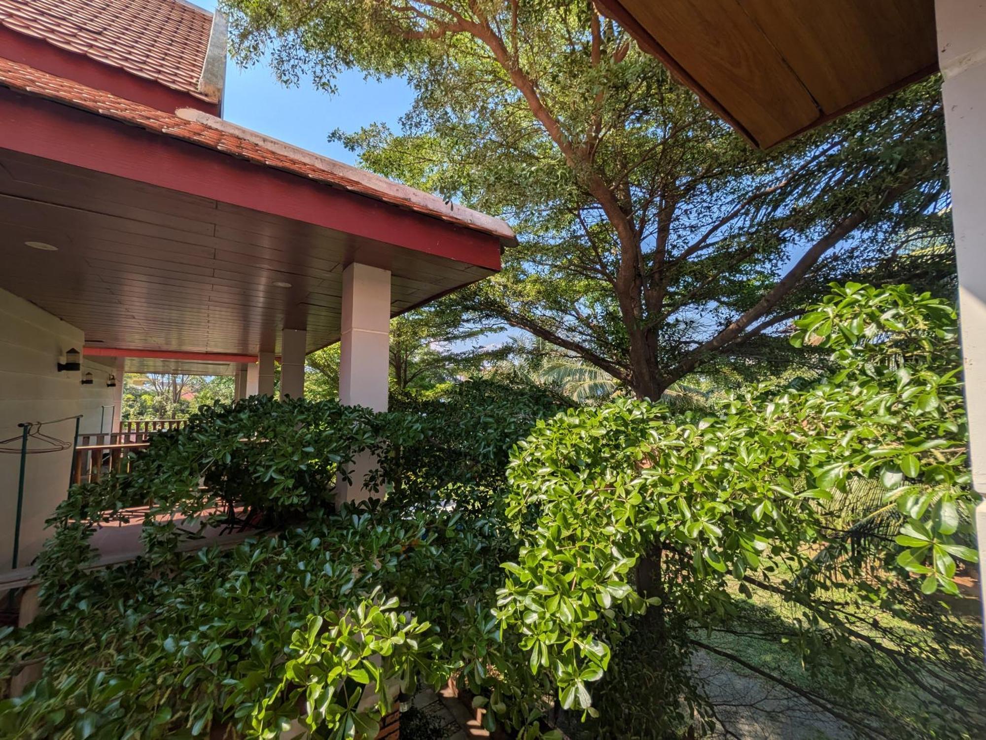 Coconut Lodge Kampot Εξωτερικό φωτογραφία