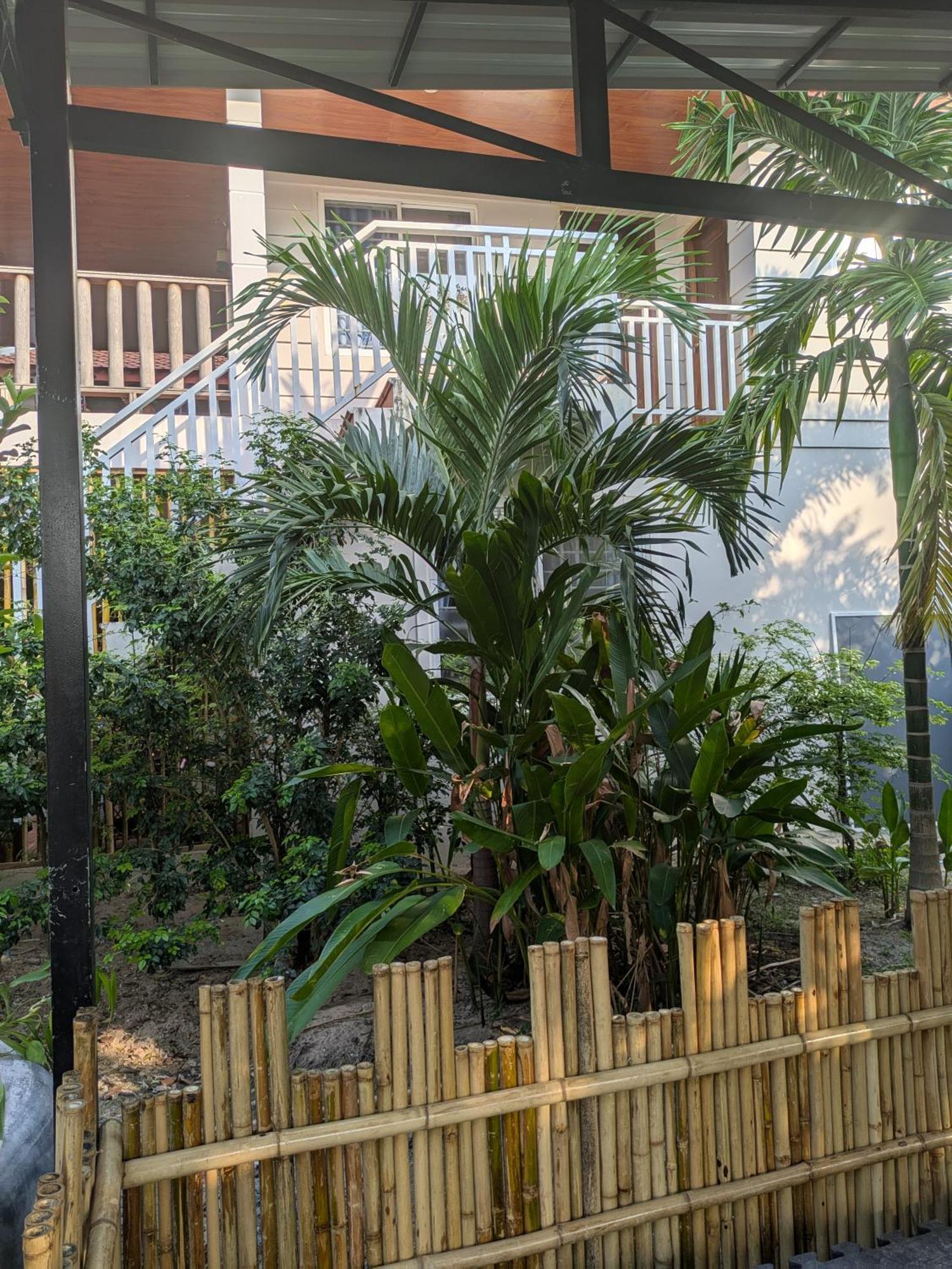 Coconut Lodge Kampot Εξωτερικό φωτογραφία